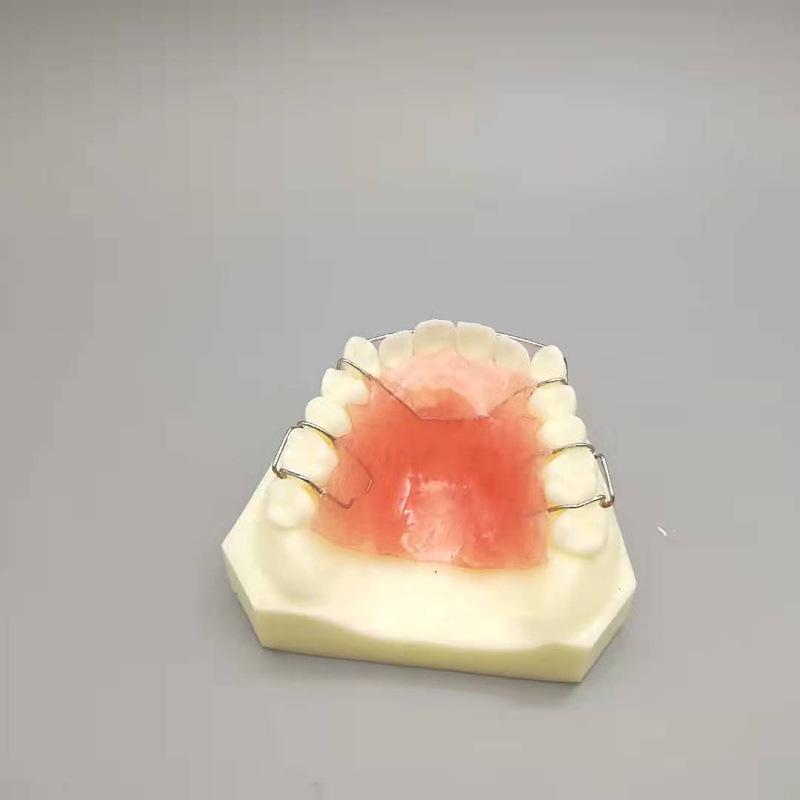 Maxillary Partial Denture Demonstration Model - White Tooth for Doctor-Patient Communication (Free Shipping)