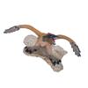 Archaeopteryx Dinosaur Toy Realistic Dinosaur Lifelike High Detailed Educational Figurine Dino