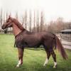 Wear-Resistant Horse Mosquito Proof Vest Adjustable Equine Mesh Vest Summer Sun Protection