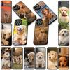 Soft Cover for Samsung Galaxy S25 S24 S23 FE Plus Ultra S7 Edge A16 A15 5G S25+ Coque Phone Case Golden Retriever Dog