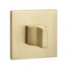 Square Rosette Toilet Plate for Internal Handle Gold