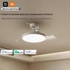 XiaoMijia 36-inch Smart Integrated Ceiling Fan Light