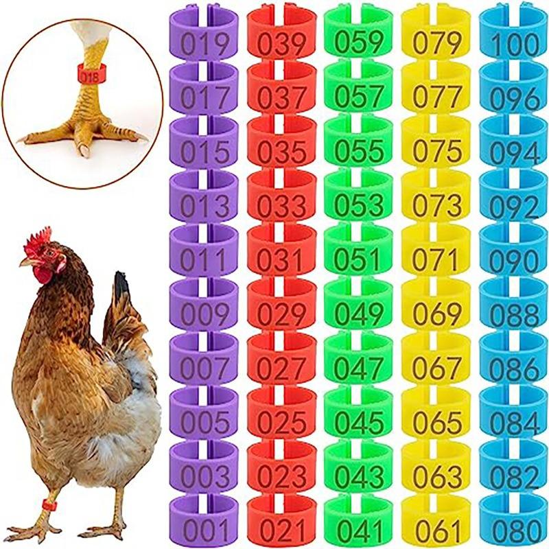 

100Pcs Checkpoint Digital Identification Ring, Plastic Poultry Leg Band, Farm Hen and Rooster Leg Band with Opening, Marking Ring, Digital Code Inner diameter 1.6cm
