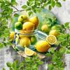 Round Lemon Vase Metal Sign Rust Proof Kitchen Wall Art Decor