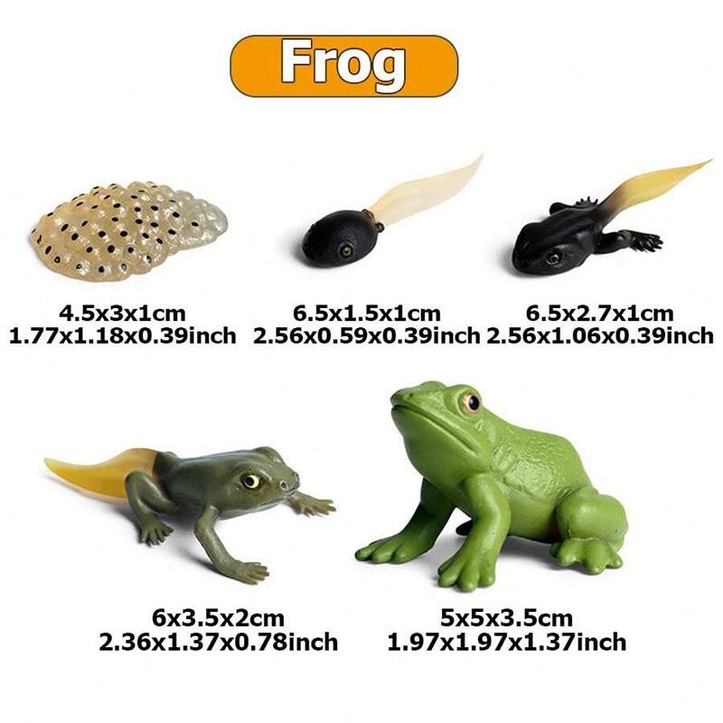 4pcs Mini Animal Plant Growth Cycle Tabletop Ornaments Plastic ABS Growth Process Model Family Decorations Animal Model Set TMZ