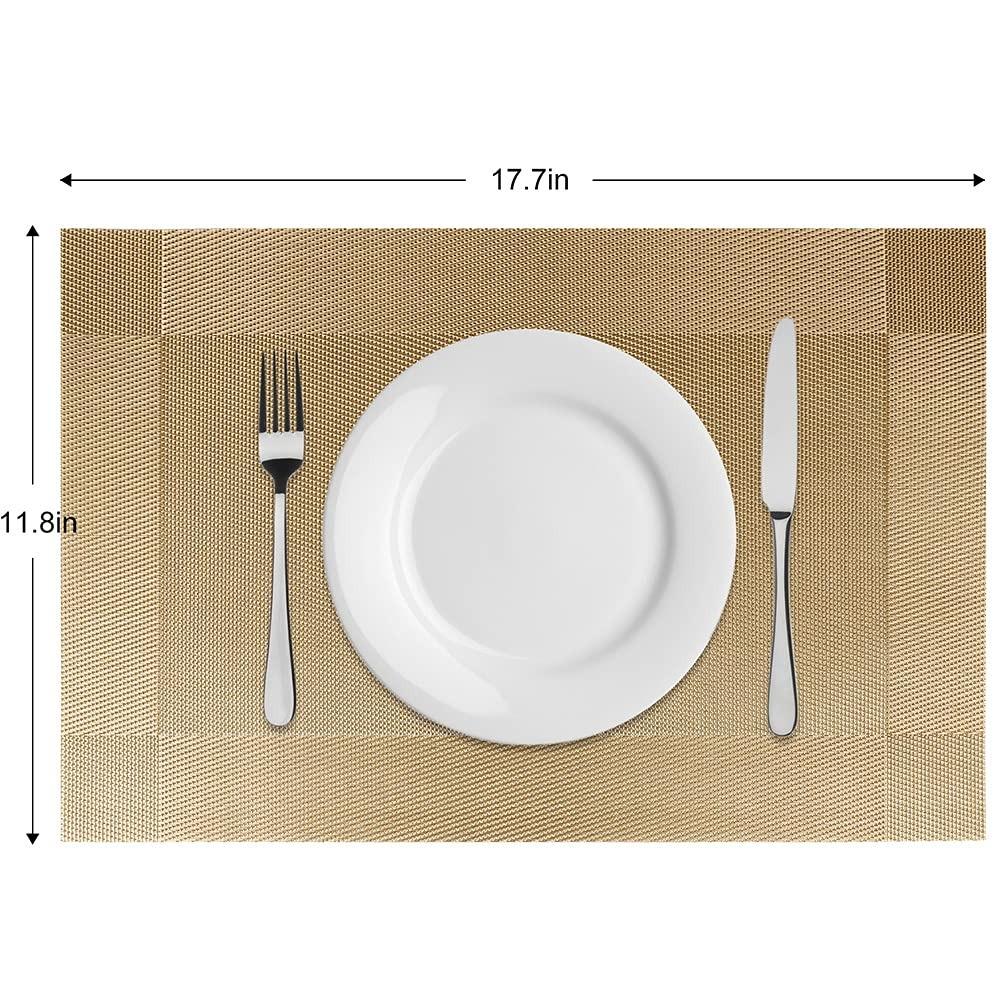 Placemats Set of 6 Dining Table Place Mats | Placemats Table Mat PVC Material | Dining Tablemates Washable Anti-Skid | Size 45 x 30cm