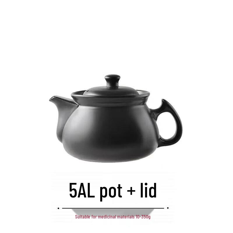 ZISIZ Traditional Chinese Medicine Decoction Pot
