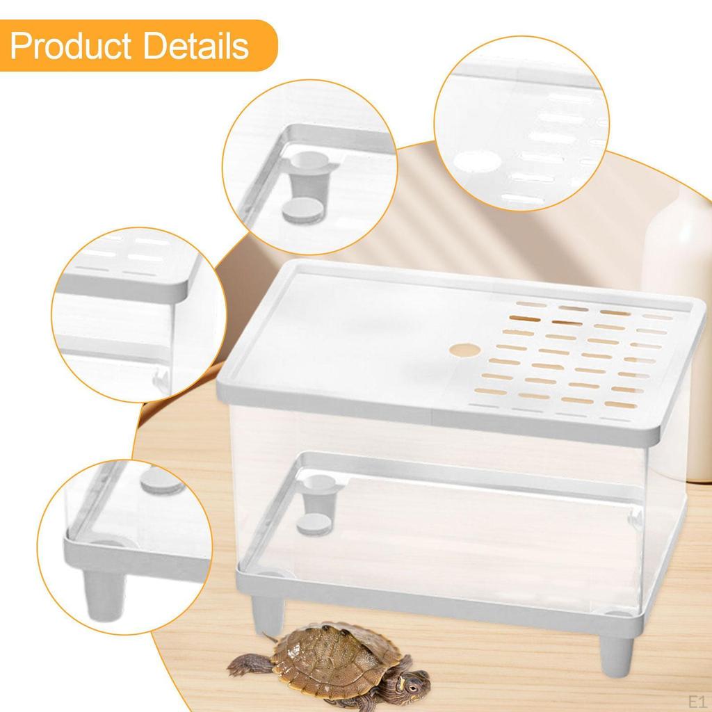 Breeding Box for Small Pets, Transparent Container Reptiles