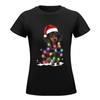 Dachshund Christmas Lights With Snow Sweater T-Shirt Vintage Clothes Summer Clothes Clothes For Woman