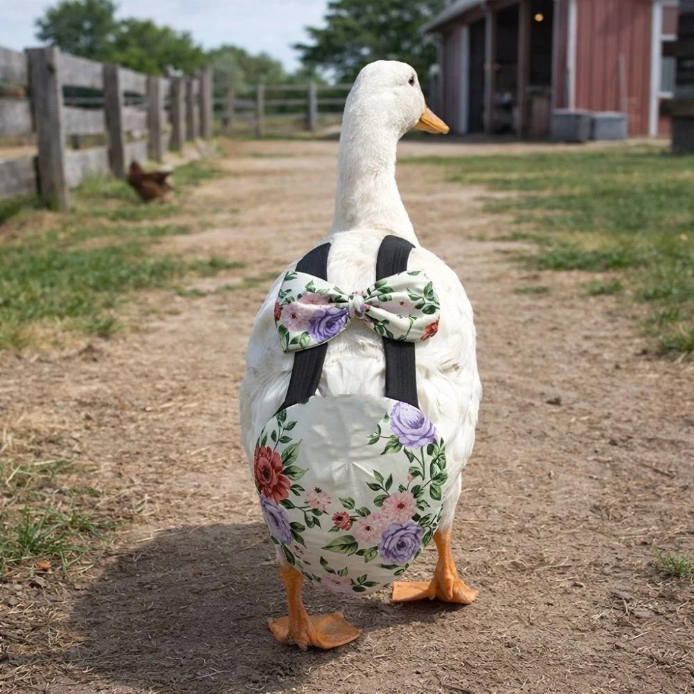Adjustable Duck Diapers Bowknot Design Poultry Costume Fruits Pattern Poultry Nappy  Poultry Care