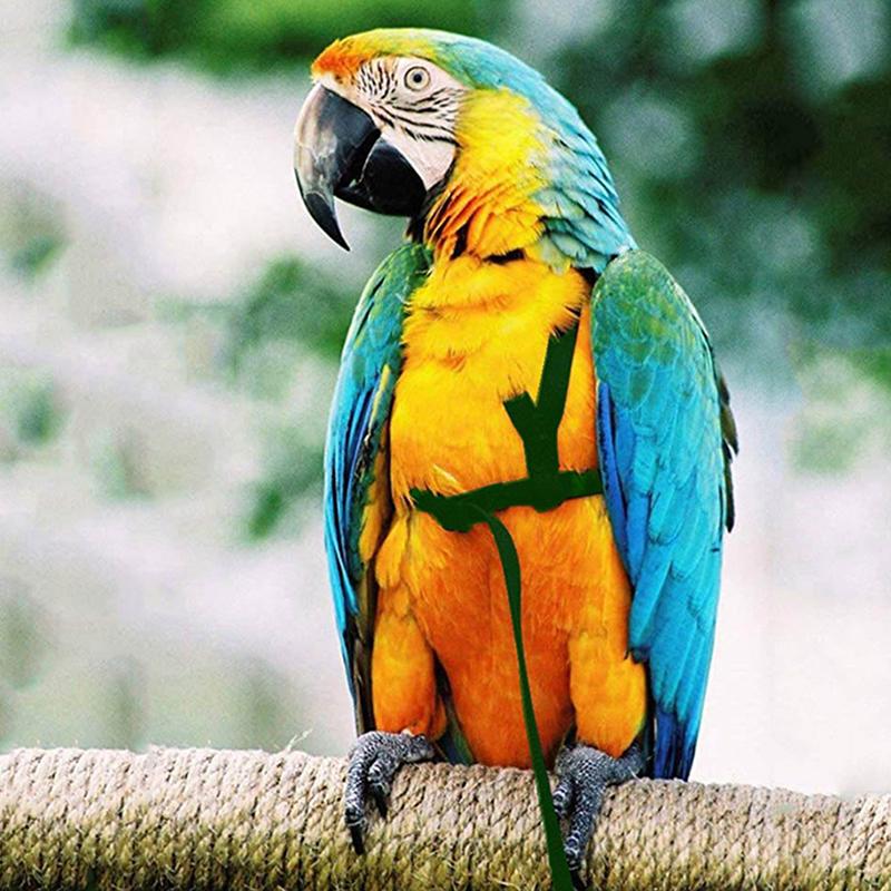 1Pcs Adjustable Parrot Training Harness Anti-Bite Flying Traction Rope Sturdy Strap for Outdoor Walking Flight
