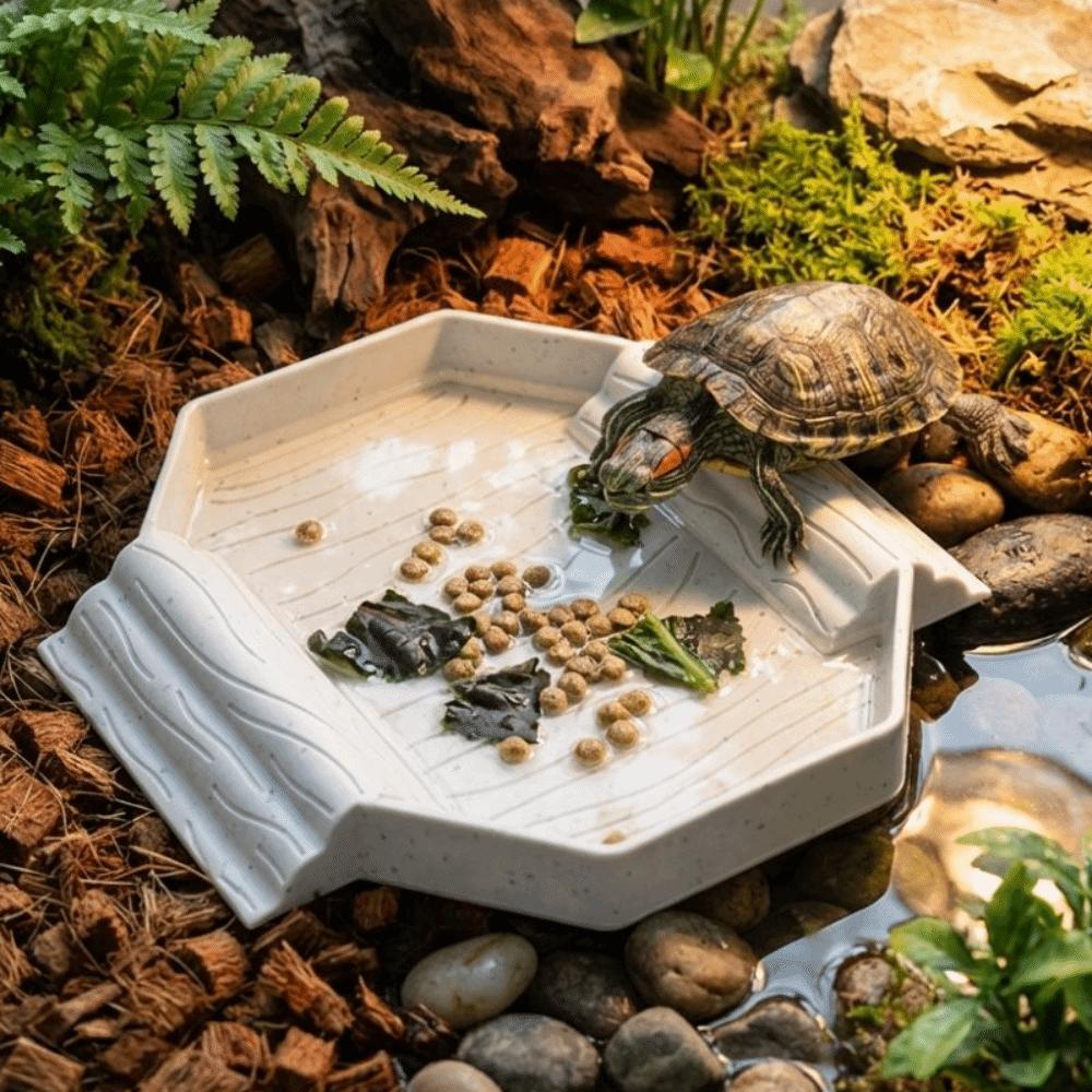With Ramp Turtle Bath Basin Plastic Reptile Pool Dish Turtle Bath Tub  Habitat Accessories