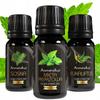 Essential Oils for Inhalation for Respiratory System Runny Nose Cough