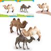 Desert Animal Pvc Figurine Twin Hump Camel Static Decor For Children Learning Play