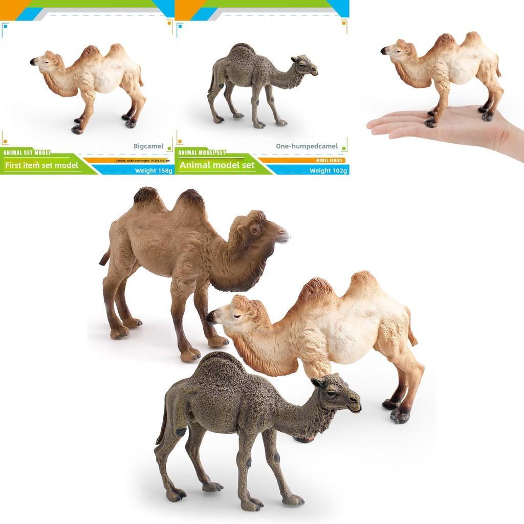 Desert Animal Pvc Figurine Twin Hump Camel Static Decor For Children Learning Play