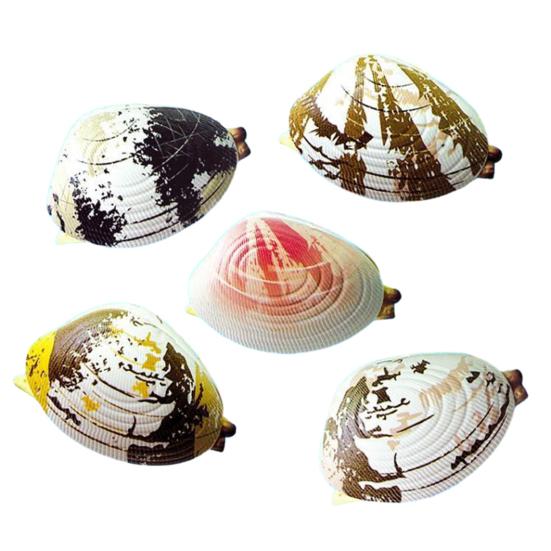 5Pcs Water Spray Toy Strong Clam-Shaped Water Play Toy Mist Sprayer Novelty Summer Beach Party Accessory