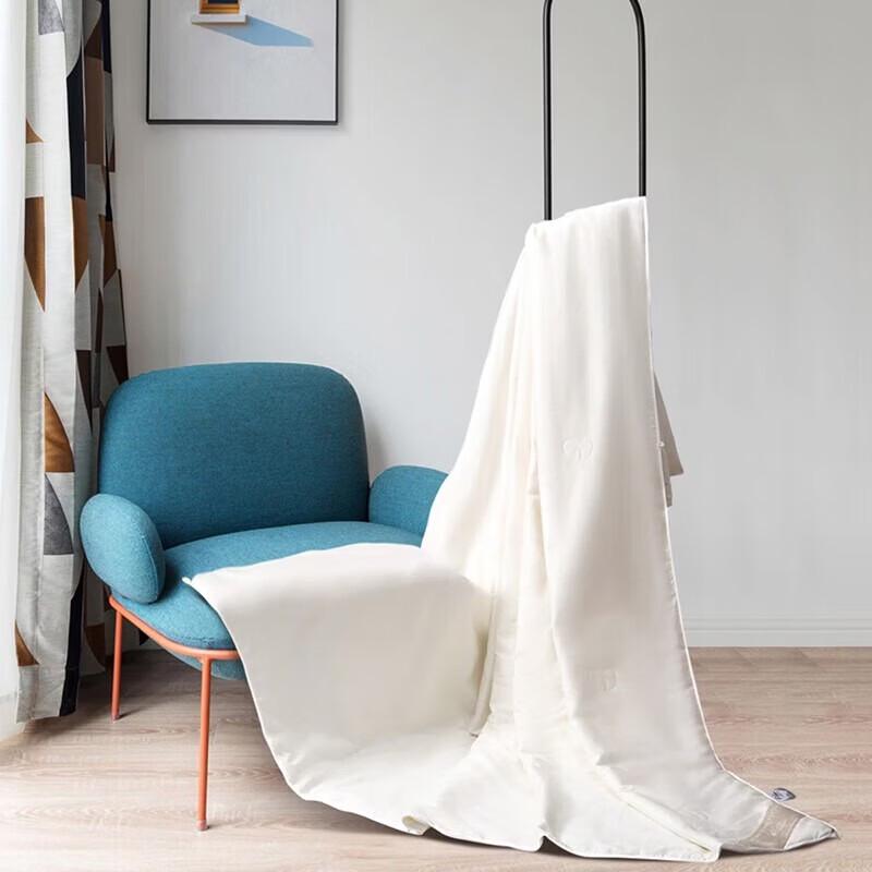 Mercury Home Textiles Kail Tussah Silk Quilt