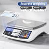 Industrial Counting Scale 30kg/66lb x 0.1g Precision Bench Scale Digital Inventory Counting Weight Scale for Small Parts and Co