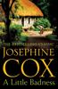 A Little Badness by Josephine Cox Paperback Book 9781472245748