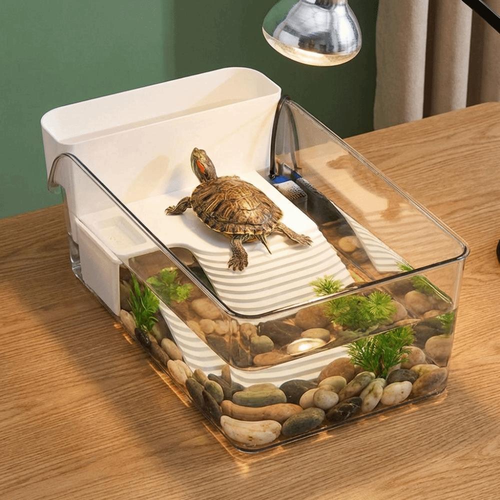 Dry Wet Separation Turtle Tank Basking Area Crab Tank Turtle Breeding Box  for Betta Shrimp