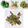 Plant Wall Faux Greenery With Multiple Leaf Types For Home Decoration And Event Backdrops