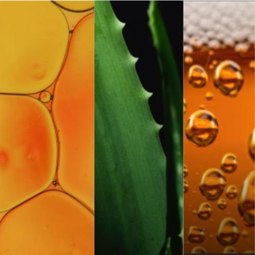 HAUM PGGM Anti-Hair Loss Scalp Therapy Shampoo 400ml