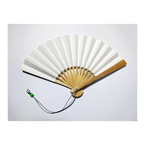 A mini folding fan that can be used for a variety of purposes including picture letters! (plain white)