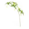 Artificial Greenery 5 Branches Long Stem 3D Hainan Elaeocarpus Fake Plants Flowers for Home Shop