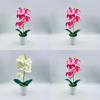 Silk Phalaenopsis Aphrodite Plant With Realistic 3d Printing For Living Room Decoration