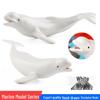 White Whale Plastic Toy: Children's Cognitive Marine Animal Model for Fish Tank Décor