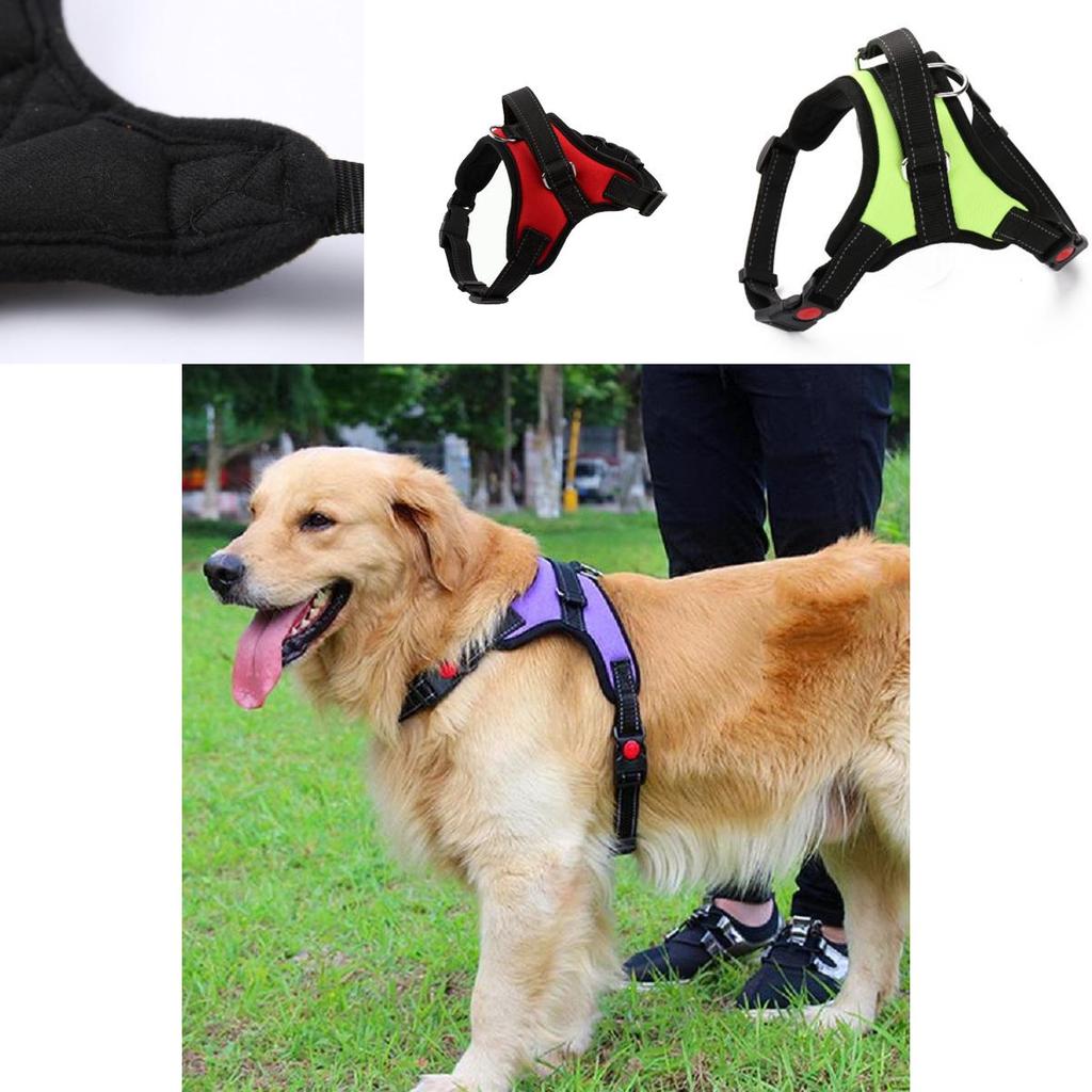 Small And Medium-sized Dog Harness Easy To Put On And Take Off With Adjustable Straps
