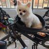 Pet Carrier Cycle Basket Cycling Basket Detachable Basket Waterproof Folding Multi-Purpose Basket For Small Pets For Pet