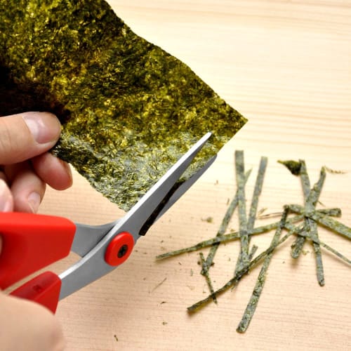 Hasegawa Cutlery Scissors, Housewife's Choice Kitchen Scissors, Red, FK-190