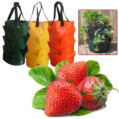 Multi-mouth Container Bag Planter Pouch Plant Growing Pot Side