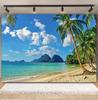 Tropischer Strand Hintergrund für Fotografie Sommer Hawaii Blaues Ozeanwasser Meeresufer Palme Kinder Feiertagsparty Foto Hintergrund Dekoration
