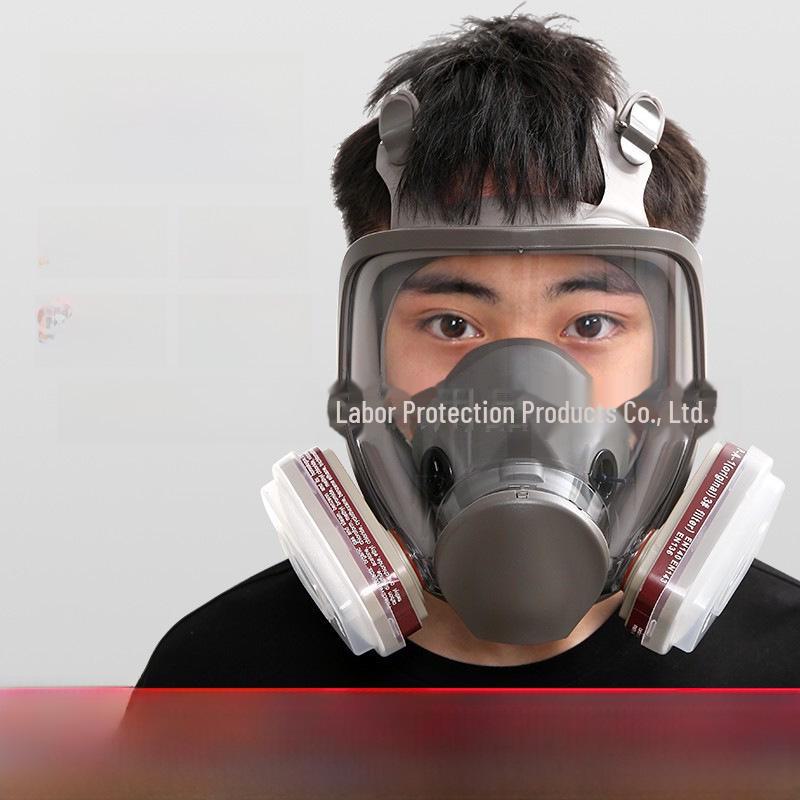 6800-Style Gas Mask for Spray Painting, Dust, Chemicals, Pesticides, and Polishing