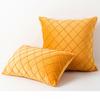 Pack of 2 Velvet Plaid Throw Pillows Sofa Decorative Pillow Covers Soft Solid Cushion Case for Bedroom Car Outdoors