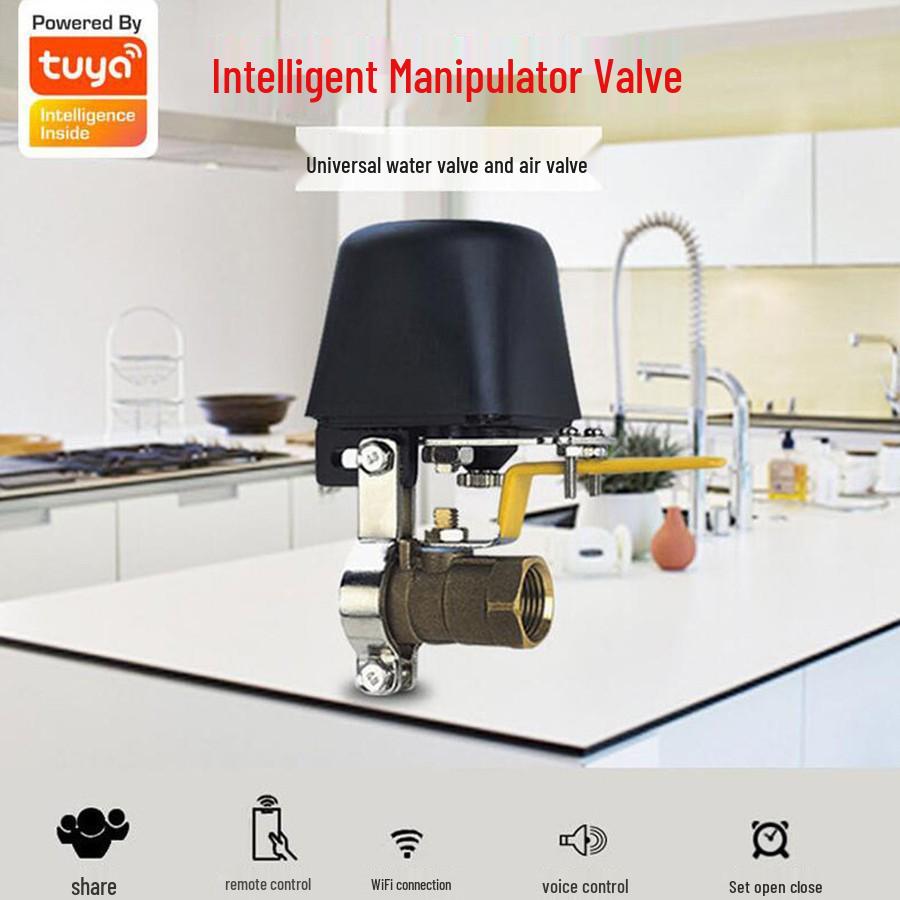 Graffiti Smart Water Valve Remote Control Zigbee/WiFi Actuator Detector Zigbee Water Valve UK