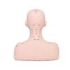 Realistic Massage Therapy Head Model Featuring Stable Filling Structure And Ergonomic Design For Beauty Academies