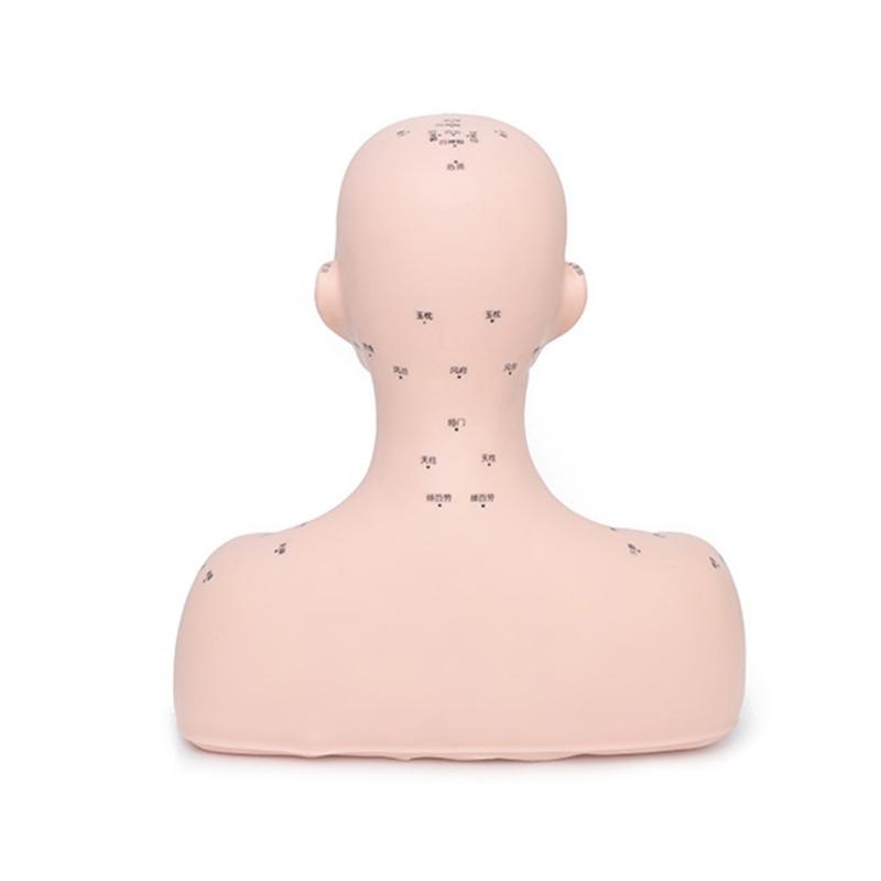 Realistic Massage Therapy Head Model Featuring Stable Filling Structure And Ergonomic Design For Beauty Academies