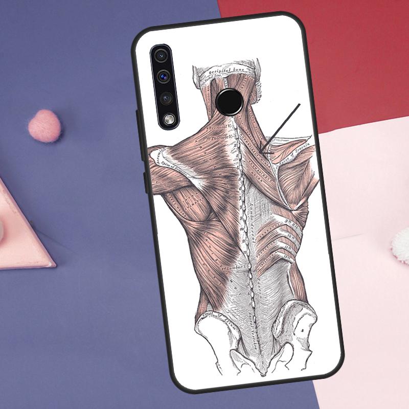 Human Anatomy Case For Huawei Nova 12s 12i 11i 8i 7i Y73 Y70 Y90 Y60 Y72 Y61 Y91 9 10 SE P40 Lite P30 Pro
