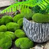 Micro Landscape Decor Artificial Moss Rocks Green Fake Moss Stone  Outdoor Decor