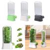 Refrigerator Detachable Compartment Herb Saver Box Vegetable Storage Container Mint and Cilantro Preservation Box