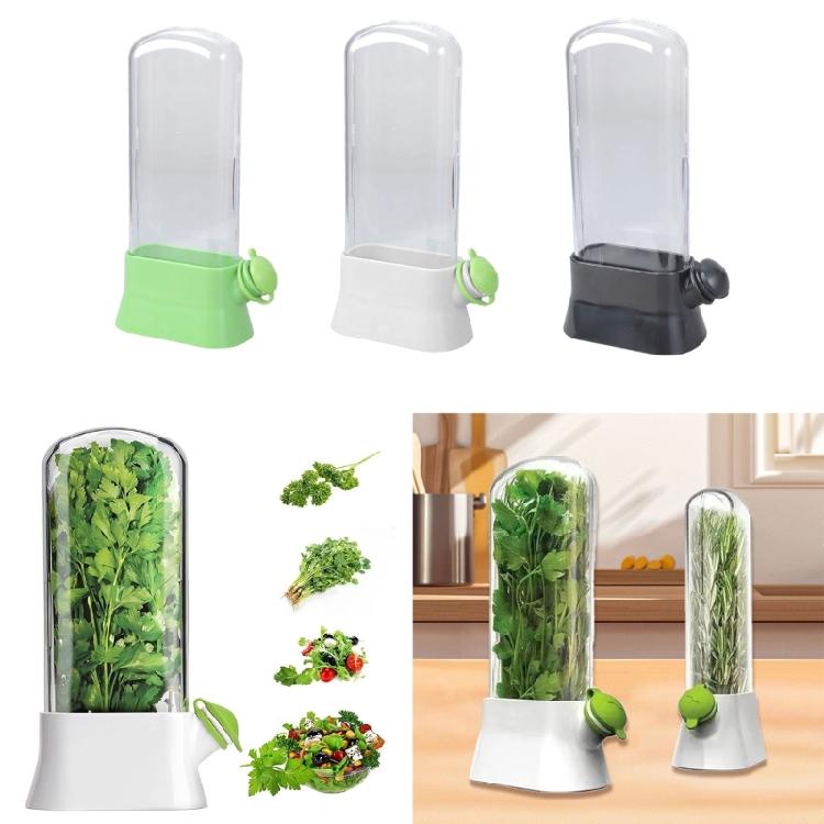 Refrigerator Detachable Compartment Herb Saver Box Vegetable Storage Container Mint and Cilantro Preservation Box