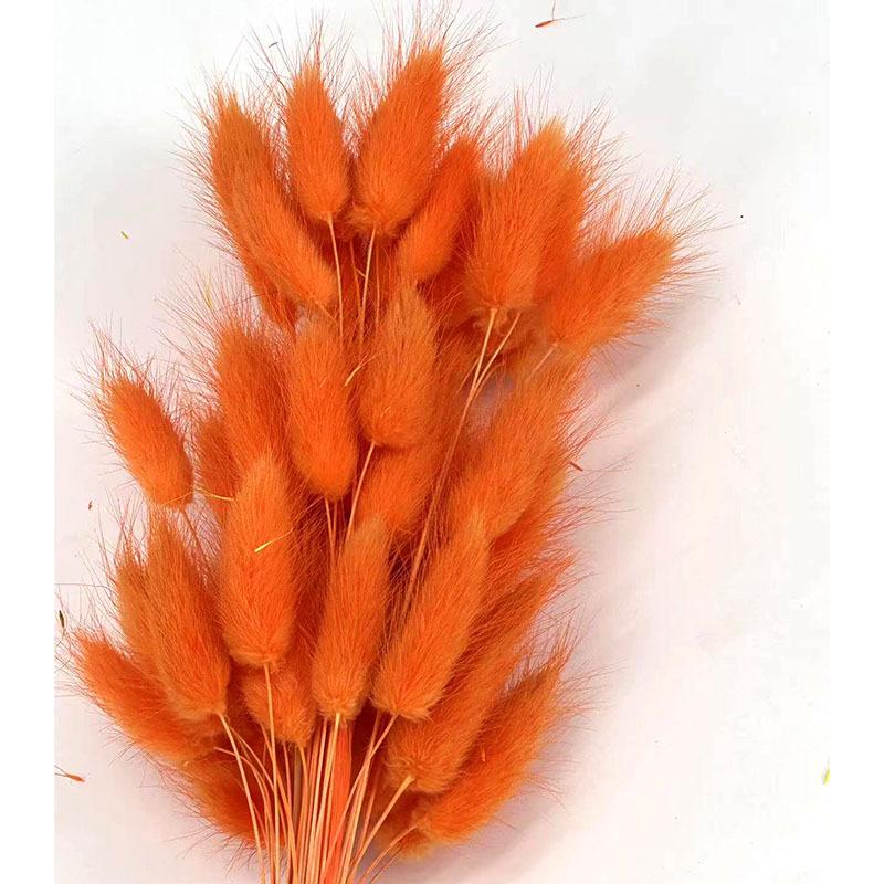 Rabbit Tail Grass Dried Flower Bouquet Home Decoration Flower Arrangement Dog Tail Grass Dried Flower Rabbit Tail Grass