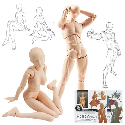 

30-Jointed Drawing Figures, Poseable Male & Female Models with Stands [Professional Recommended] for Manga and Art, Expressive Muscles, Drawing Doll,