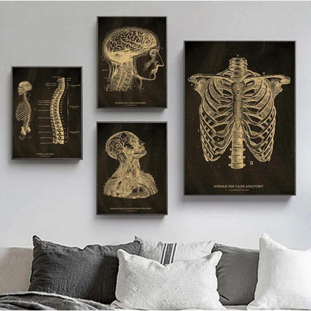 Anatomical Skeleton Chalkboard Poster Kraft Paper Posters DIY Vintage Home Room Medicine Student Decor Medical Art Wall Painting