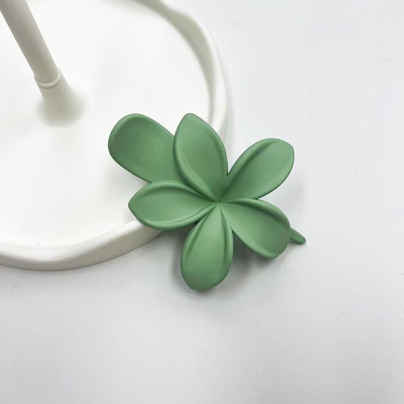 Pinces à Cheveux en Plastique Givré Forme Fleur Mode Filles Pince Crabe Bec de Canard Mignon Accessoires de Tête Barrette Antidérapante Épingles à Cheveux Cheveux Acc