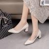 Pointed Toe High Heels Pumps Women New Korean Style Pointed Shallow Mouth Thick Heel Shoes Sapatos De Mujer