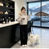 2026 Winter Oversized Hooded Cotton Puffer Coat Women Plus Size Thick Warm Short Jacket With Faux Fur Collar